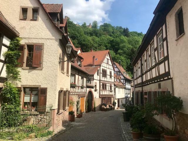 Buedinger Hof Lägenhet Weinheim Exteriör bild