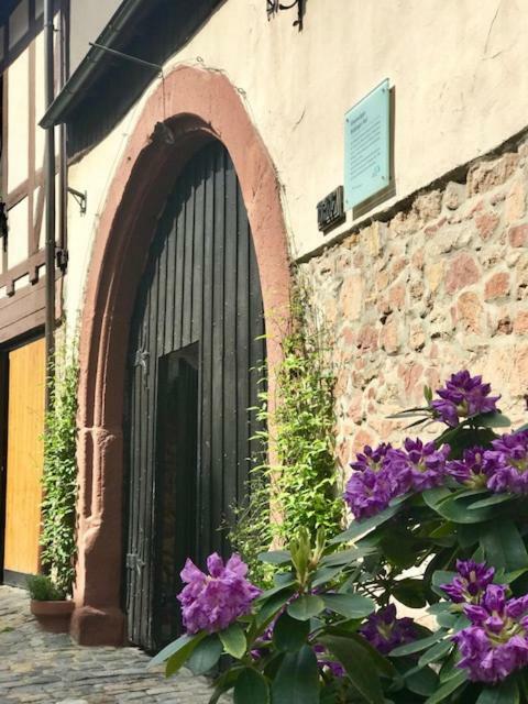 Buedinger Hof Lägenhet Weinheim Exteriör bild
